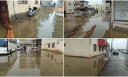 Diyarbakır'da kanalizasyon taşkını: Sokak göle döndü