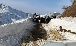 Karlıova’nın adına yaraşır kar yağışı devam ediyor