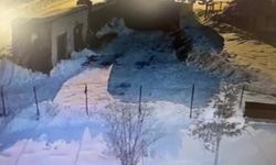 Kars'ta iki kurt evin bahçesindeki köpeği boğdu