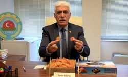 Kılınç: Kaçak yollarla Türkiye'ye sokulan kayısılar Malatya üreticisini bitiriyor