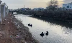 Şanlıurfa Valiliği: Suriye'de bulunan cesedin kimliği tespit edildi