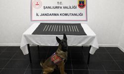 Şanlıurfa'da narkotik operasyonu: 2 gözaltı