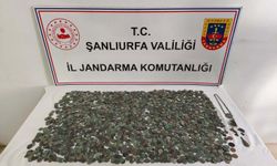 Şanlıurfa’da tarihi eser operasyonu