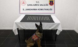 Şanlıurfa’da uyuşturucu operasyonu: 664 adet captagon ele geçirildi