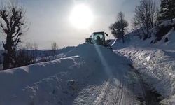 Siirt’te kapalı köy yolları ulaşıma açıldı
