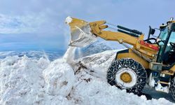Siirt’te karla mücadele seferberliği
