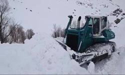 Şırnak'ta kar kalınlığı 2 metreyi aştı, ekipler vardiyalı sistemle sahada