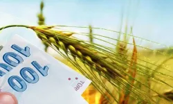 Tarımsal destek ödemeleri bugün çiftçilerin hesaplarına yatırılacak