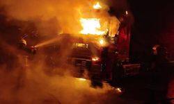 Şanlıurfa'da seyir halindeki tır alev topuna döndü