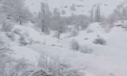 Yüksekova’da düşen çığ köye kadar ulaştı