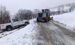Kulp'ta kar yağışı kırsal yolları kapattı