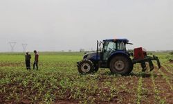 338 milyon liralık tarımsal destek ödemesi bugün hesaplarda