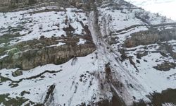 30 keçinin telef olduğu kayaların düştüğü bölge gündüz görüntülendi