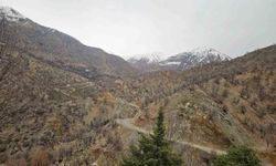 Diyarbakır'da kayıp yaşlı adam 11 gündür aranıyor