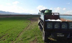 Gercüş'te çiftçilerin bahar mesaisi başladı