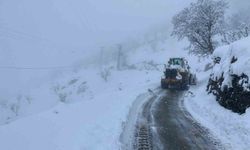 Komşu ilde 115 yerleşim yerinin yolu kardan kapandı