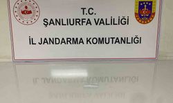 Şanlıurfa'da silah ve narkotik ele geçirildi: 8 şüpheliye işlem yapıldı