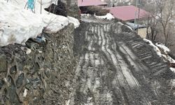 Siirt'te sağanak yağış kayaları yola devirdi