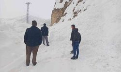 Siirt'te yolda mahsur kalan araçlar kurtarıldı