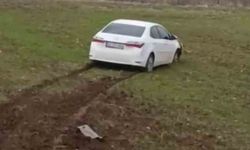 Siirt'te yoldan çıkan otomobil tarlaya girdi