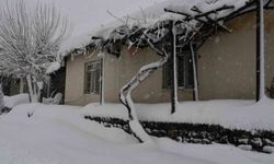 Şırnak'ın iki ilçesinde kar yağışı etkili oldu