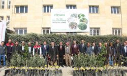 Şırnak'ta 25 bin 200 fidan toprakla buluştu: 810 dekar meyve bahçesi oluyor
