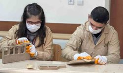 Siverek'te engelli öğrenciler, ahşabı oyuncağa çeviriyor