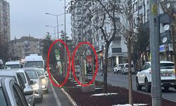 Bu ne aymazlık: Hem kötülük hem reklam! Yetkililer nerede?