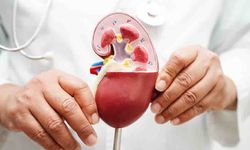 Böbrek hastalıkları her 7 kişiden birini tehdit ediyor