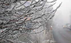 Bingöl’de 7 günlük hava durumu: Soğuk hava etkisini artırıyor