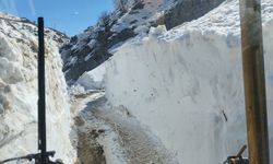 Kulp'ta su kaynağına çığ düştü