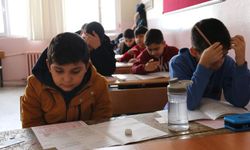 Diyarbakır Ergani'de siyer yarışması heyecanı