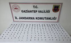 Gaziantep'te tarihi eser operasyonu: 195 adet sikke ele geçirildi