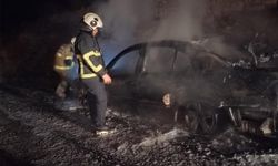 Park halindeki otomobil alevlere teslim oldu