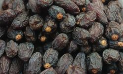 Diyarbakır'da hurma tezgâhları yoğun ilgi görüyor