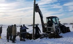 Iğdır, Karakoyunlu, Tuzluca'da yeni haftada bugün fişler çekildi