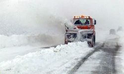 Kulp-Muş kara yolu ulaşıma kapandı