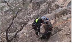 Kayalıklarda mahsur kalan keçiler halatla kurtarıldı