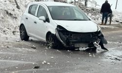 Kontrolden çıkan araç yol kenarına savruldu