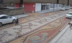 Mardin'de köpeklerin saldırdığı çocuğu esnaf kurtardı