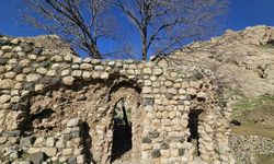 Kürt edebiyatının önemli ismi Feqiye Teyran Medresesi yok olma tehlikesiyle karşı karşıya