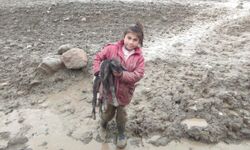 Minik Zeynep'in yeni doğan kuzusu için gösterdiği çaba duygulandırdı