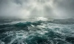 Okyanus tuz kaybediyor! Bilim adamları şaşkın