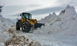 Pervari’de kar ve tipi nedeniyle kapanan köy yolları yeniden ulaşıma açıldı