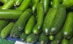 Tarla ve market arasındaki fiyat farkı pes dedirtti