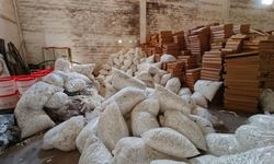 Şanlıurfa OSB’de 40 milyon bandrolsüz makaron ele geçirildi