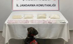 Şanlıurfa’da 4 kilo narkotik madde ele geçirildi