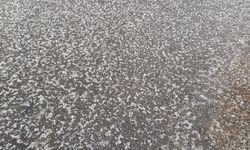 Şanlıurfa’da dolu etkili oldu