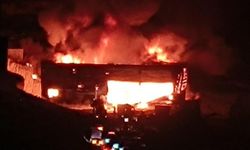 Şanlıurfa’da fabrika yangını