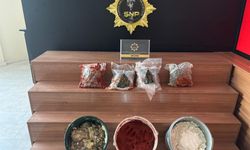 Şanlıurfa’da salça ve peynir kovalarında skunk ele geçirildi